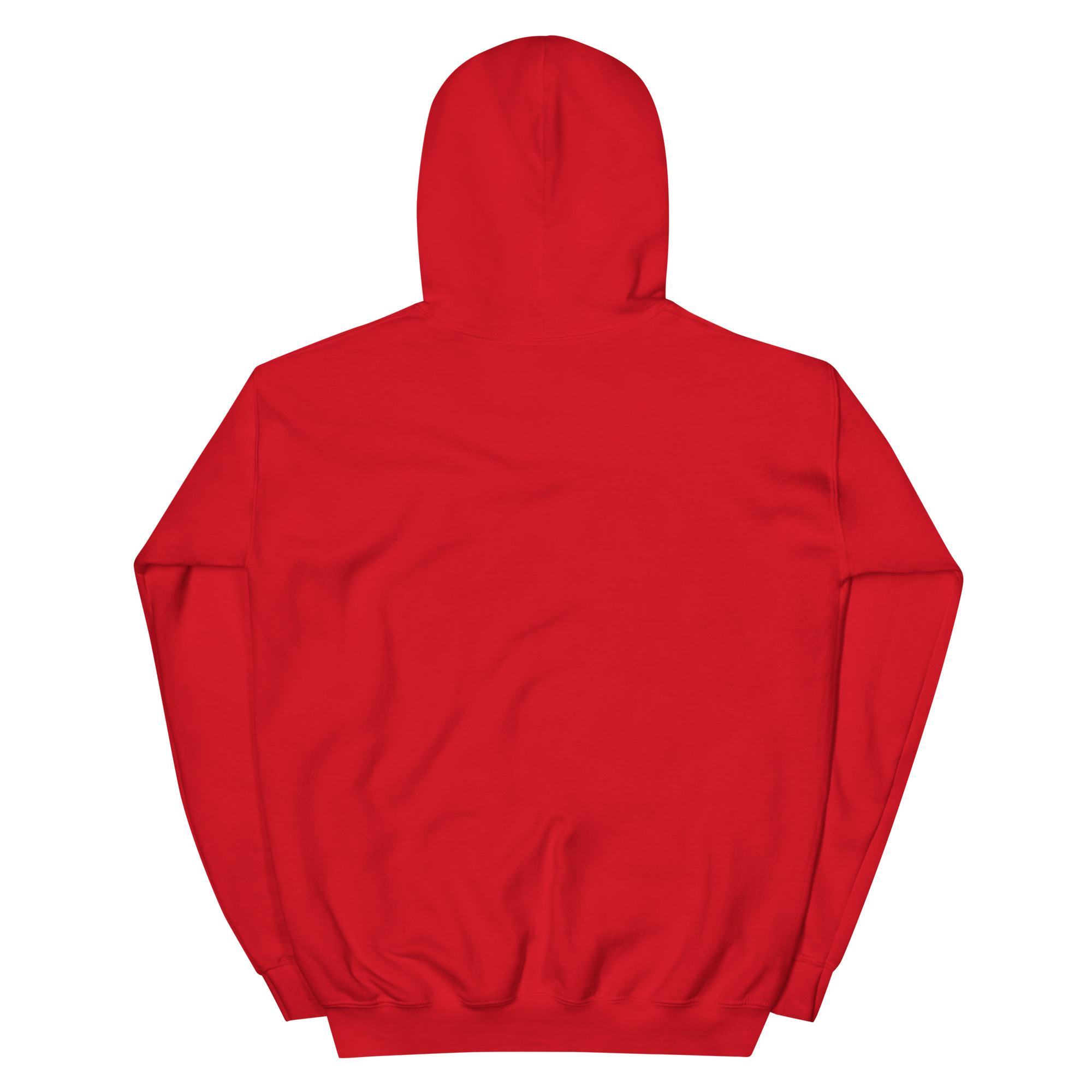 "Enjoy Country Swing" Unisex Hoodie - Image 4
